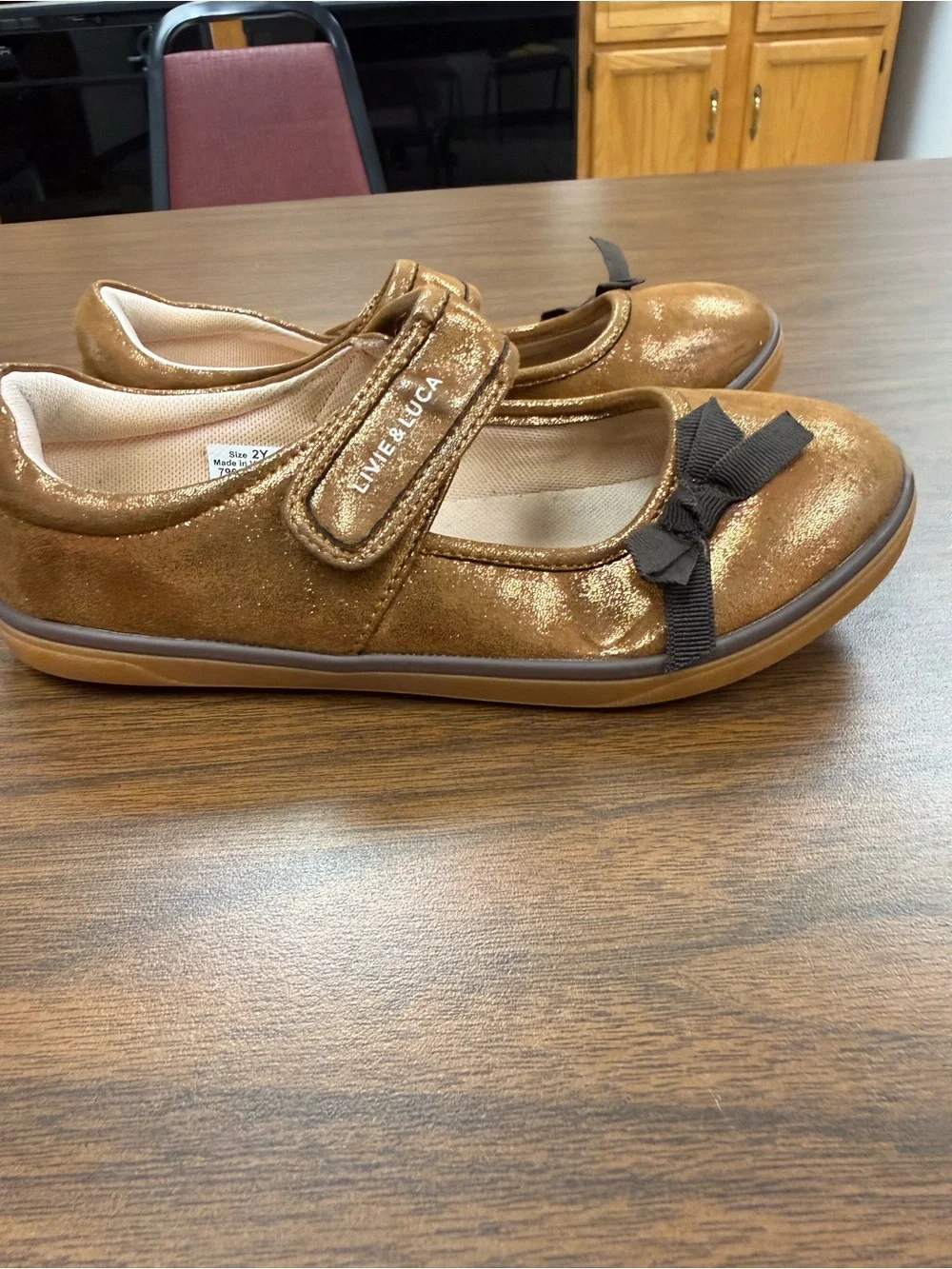 Livie & Luca Cinnamon Shimmer River Eco Mary Jane Shoes Size 2Y EUC
